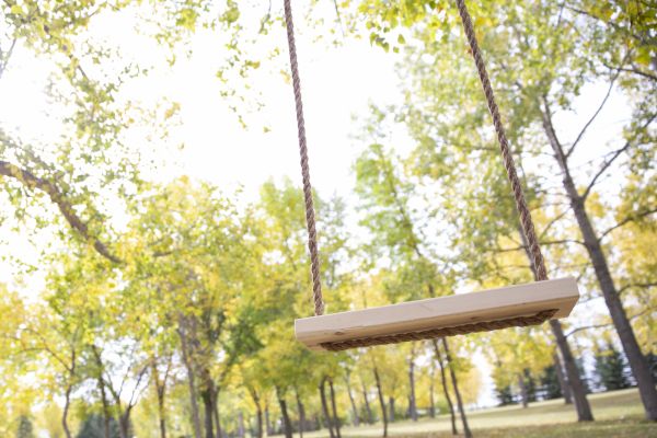 Swing Installation in Placerville