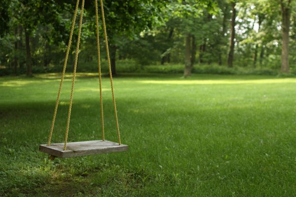 Rope Swing Installation in Placerville