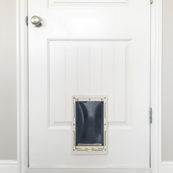 Pet Door Repair in Placerville