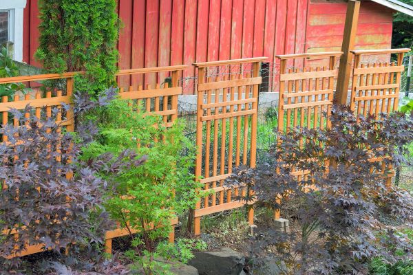 Wood Trellis Mounting in Placerville