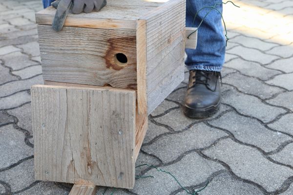 Birdhouse Mounting